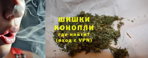 шишки Белокуриха